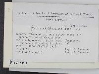 登錄號:F0015781藏品圖，第2張