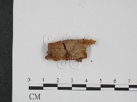 登錄號:F0015781藏品圖，第1張