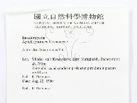 登錄號:F0015784藏品圖，第3張