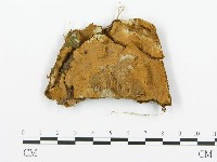 登錄號:F0015784藏品圖，第1張