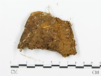 登錄號:F0015784藏品圖，第4張