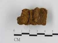 登錄號:F0015785藏品圖，第1張