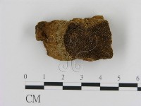 登錄號:F0015785藏品圖，第3張