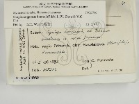 登錄號:F0015786藏品圖，第2張