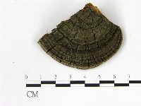 登錄號:F0015786藏品圖，第4張