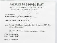 登錄號:F0015788藏品圖，第3張