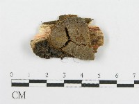 登錄號:F0015788藏品圖，第1張