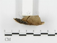 登錄號:F0015788藏品圖，第5張