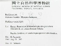 登錄號:F0015789藏品圖，第3張