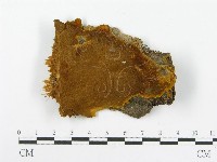 登錄號:F0015789藏品圖，第1張