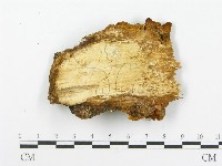 登錄號:F0015789藏品圖，第4張