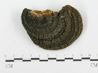 登錄號:F0015790藏品圖，第4張