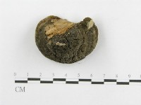 登錄號:F0015791藏品圖，第4張