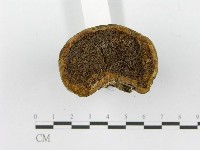 登錄號:F0015791藏品圖，第5張