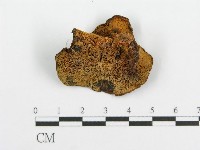登錄號:F0015792藏品圖，第1張