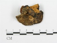 登錄號:F0015792藏品圖，第4張