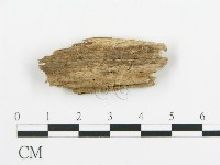 登錄號:F0015793藏品圖，第4張