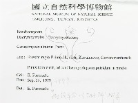 登錄號:F0015794藏品圖，第3張