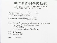 登錄號:F0015796藏品圖，第3張