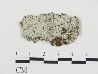 登錄號:F0015798藏品圖，第1張
