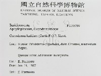 登錄號:F0015799藏品圖，第3張