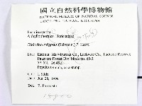 登錄號:F0015800藏品圖，第2張