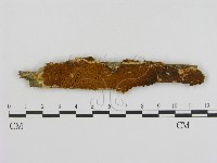 登錄號:F0015801藏品圖，第1張