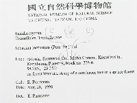 登錄號:F0015803藏品圖，第4張
