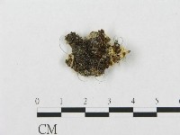 登錄號:F0015803藏品圖，第5張