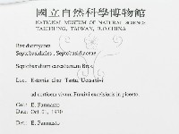 登錄號:F0015805藏品圖，第3張