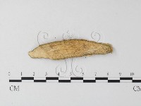 登錄號:F0015805藏品圖，第4張