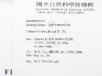 登錄號:F0015813藏品圖，第2張