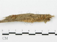 登錄號:F0015813藏品圖，第3張