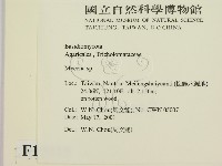 小菇屬藏品圖，第2張