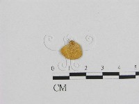 登錄號:F0015816藏品圖，第1張