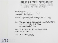 登錄號:F0015817藏品圖，第2張