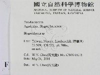 登錄號:F0015822藏品圖，第2張
