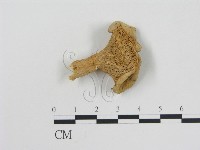 登錄號:F0015823藏品圖，第1張