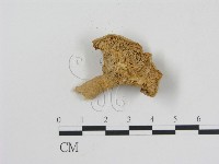 登錄號:F0015823藏品圖，第3張