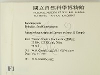 登錄號:F0015824藏品圖，第2張