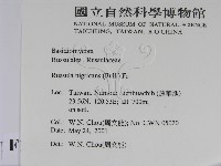 登錄號:F0015825藏品圖，第2張