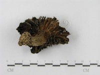 登錄號:F0015825藏品圖，第4張