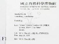 紅菇屬藏品圖，第2張