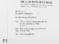 登錄號:F0015828藏品圖，第2張