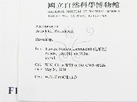 紅菇屬藏品圖，第2張