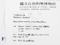 登錄號:F0015833藏品圖，第2張