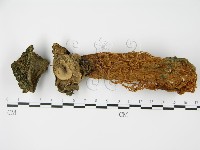 登錄號:F0015833藏品圖，第1張