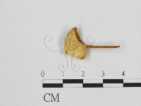 登錄號:F0015835藏品圖，第1張