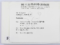 紅菇屬藏品圖，第2張
