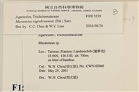 登錄號:F0015839藏品圖，第4張